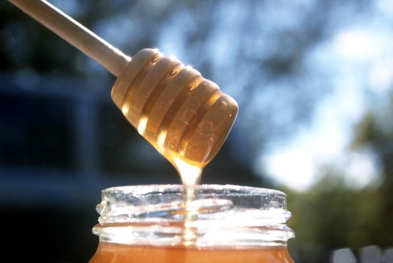 The Best Aussie Foods for Boosting Your Immune System - NCC.health